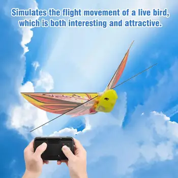 2.4 g Nuotolinio Valdymo Elektroninių Imituojamas Nuryti Plaukioja Lėktuvo Drone Rc Žaislo Vaikams, Paukščių, Lėktuvų, Paukščių Vaikų U1m1