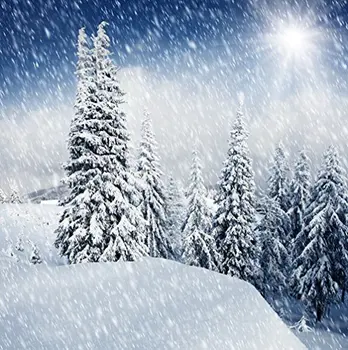 5x7ft Snieguotas giliai miške fotografijos fonas
