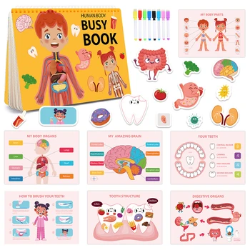 Freebear Montessori Užimtas Knygos Vaikams, Žmogaus Kūno Anatomijos Knygos Vaikams Preshool Darželio Mokymosi Veiklą