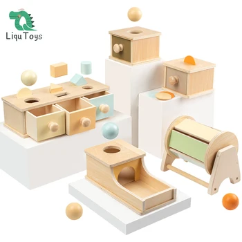 LIQU Montessori Žaislai Macaroon Spalva Monetų Dėžutė,Kamuolys Lauke Objekto Pastovumas Langelį, Žaislai Kūdikiams, mažiems Vaikams 8-24 Mėnesį Kūdikis Learni